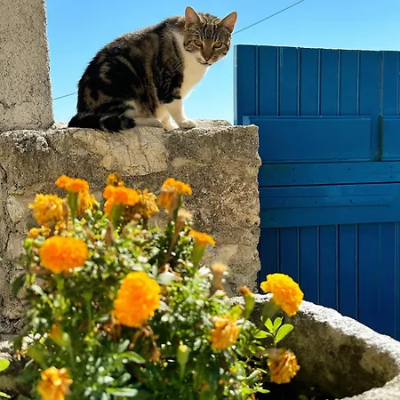 To Provetzino Nyaraló *